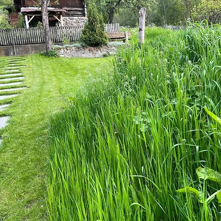 Hygge Hüs - Apartment Grengiols